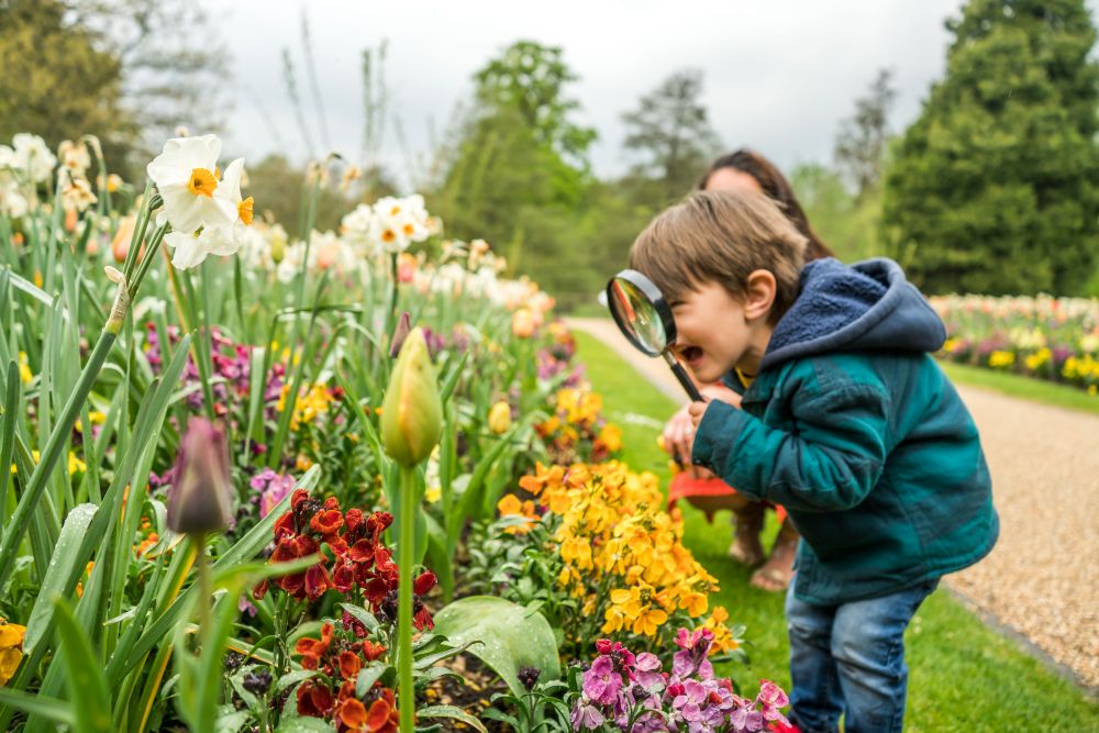 Little boy in The Savill Garden, image Ferla Paolo Photography